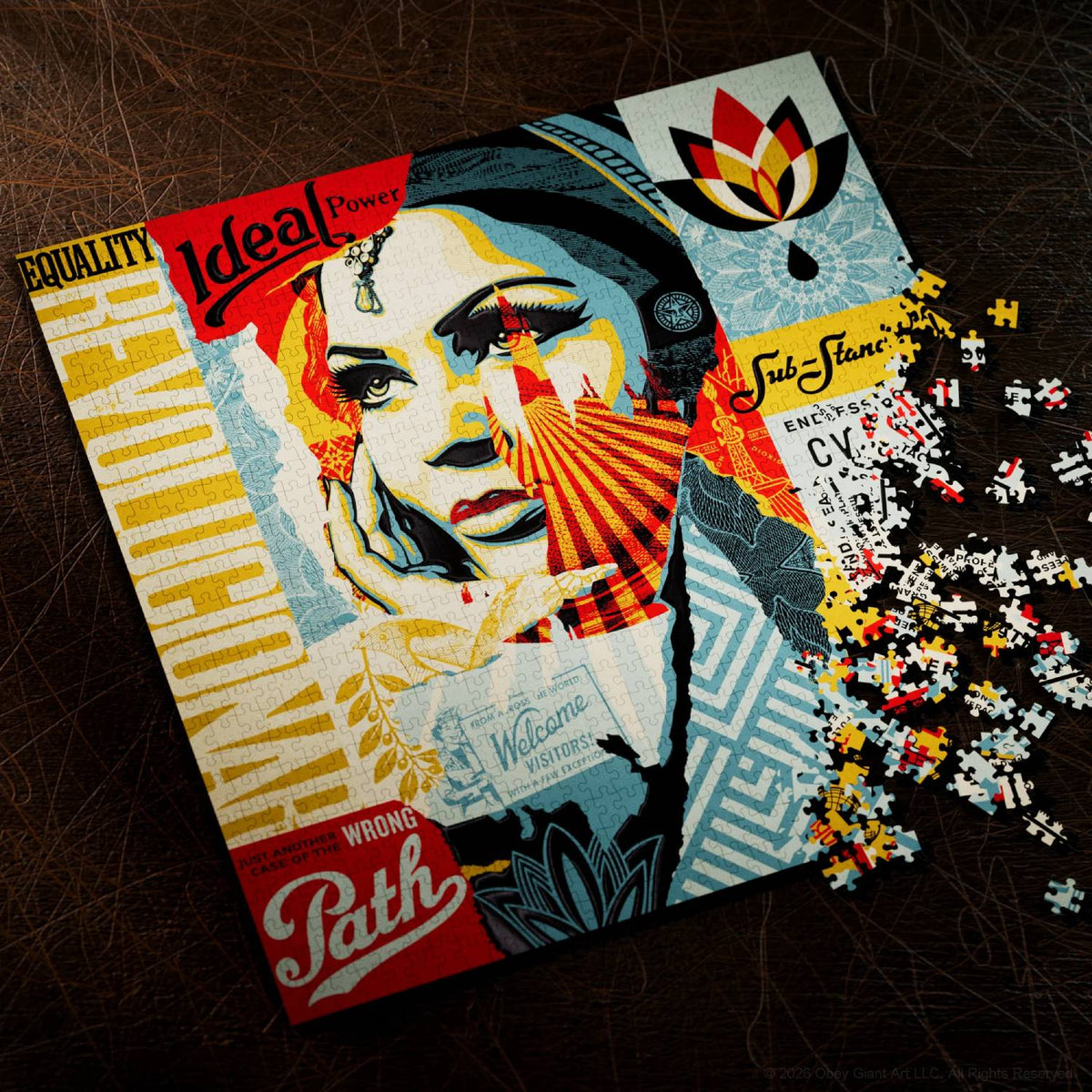 OBEY - 1000 detalių dėlionė | Theory11