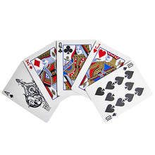 Įkelti vaizdą į galerijos rodinį, Bicycle Kortos Archangels