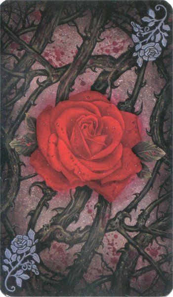 The Tarot of Vampyres - vampyrų taro kortos
