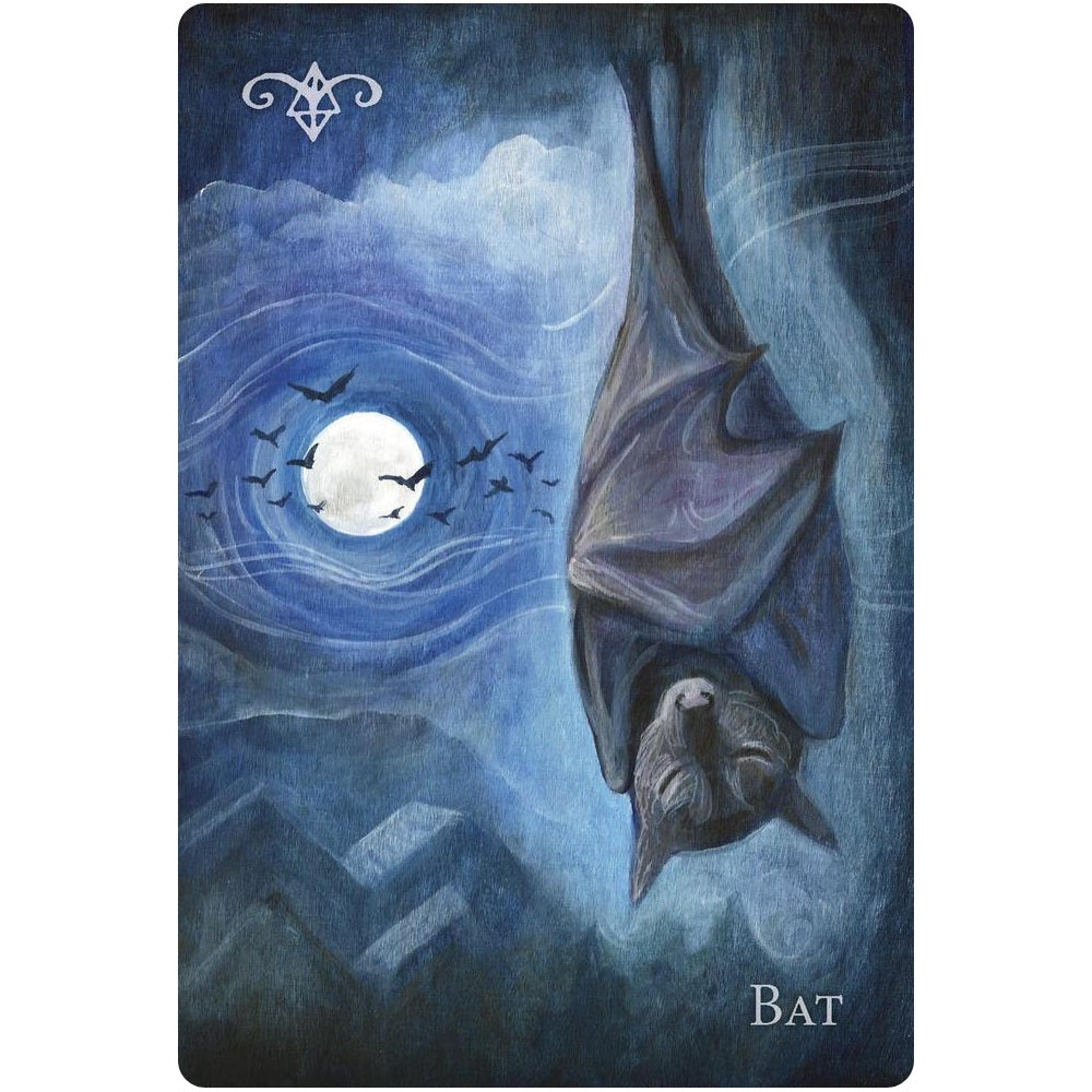 A Witch's Ally Oracle - orakulo kortos | Llewellyn