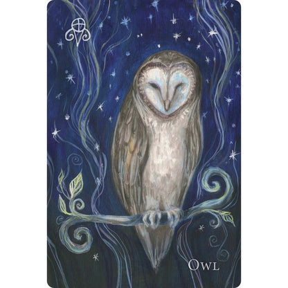 A Witch's Ally Oracle - orakulo kortos | Llewellyn