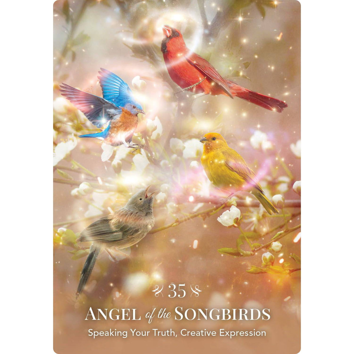 Angels of Nature Oracle - orakulo kortos | Hay House