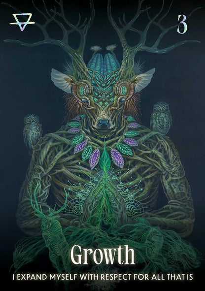 Shamanic Oracle - orakulo kortos | Rockpool