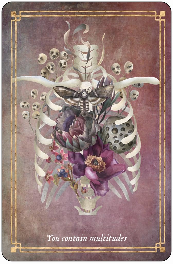 Memento Mori - apmąstymų kortos | Red Wheel