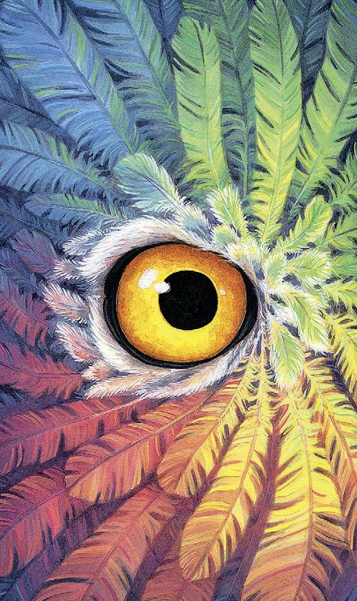 Tarot of the Owls Mini - mini taro kortos be vadovo | Llewellyn