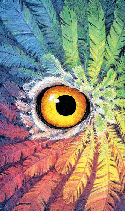 Tarot of the Owls Mini - mini taro kortos be vadovo | Llewellyn