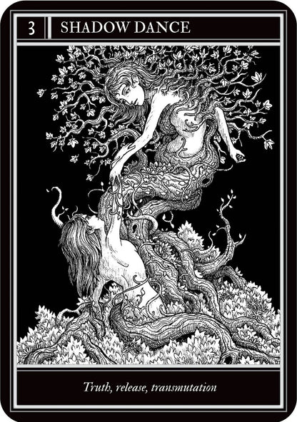 Coven Oracle - orakulo kortos | Rockpool