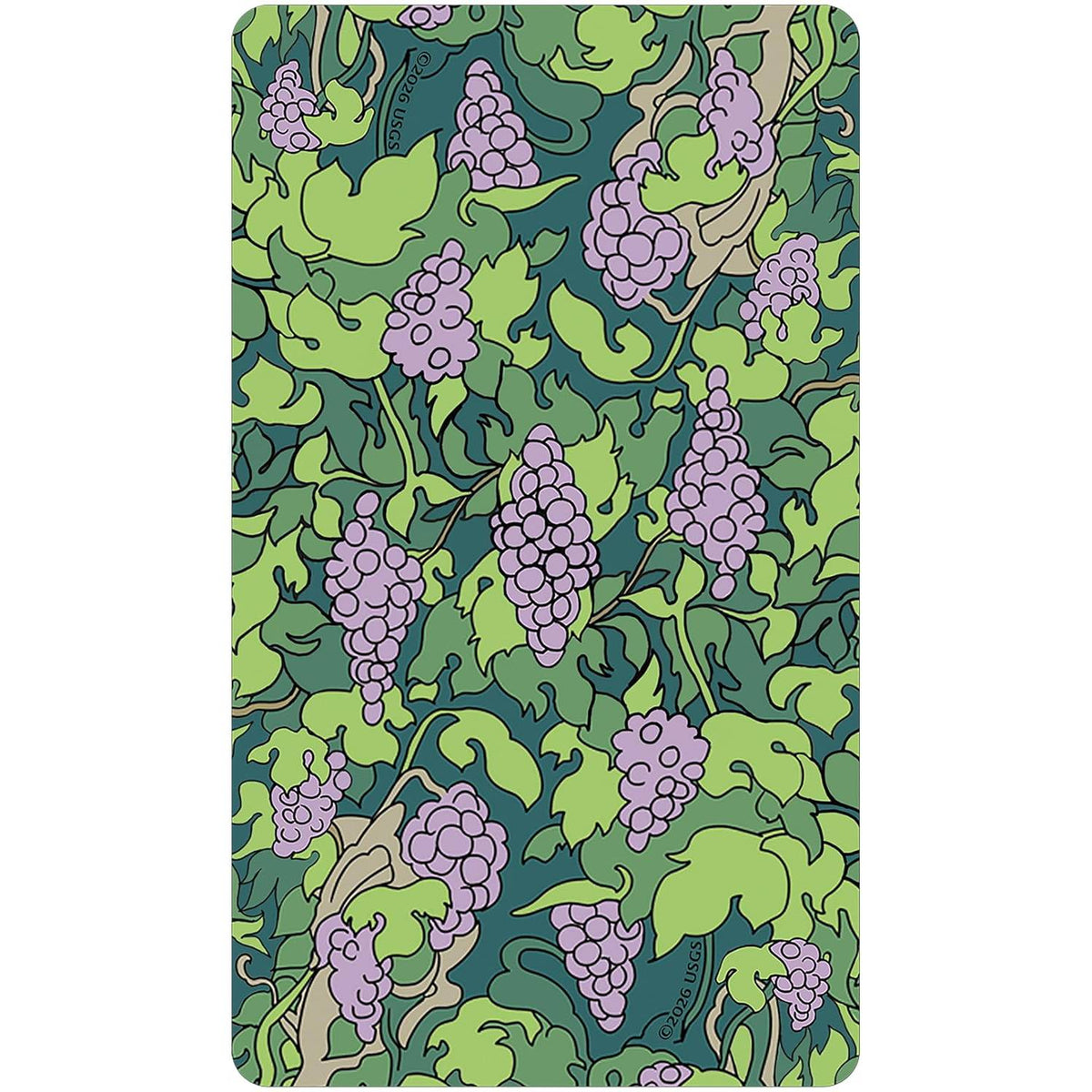 Florana Tarot - Taro kortos | U.S. Games Systems
