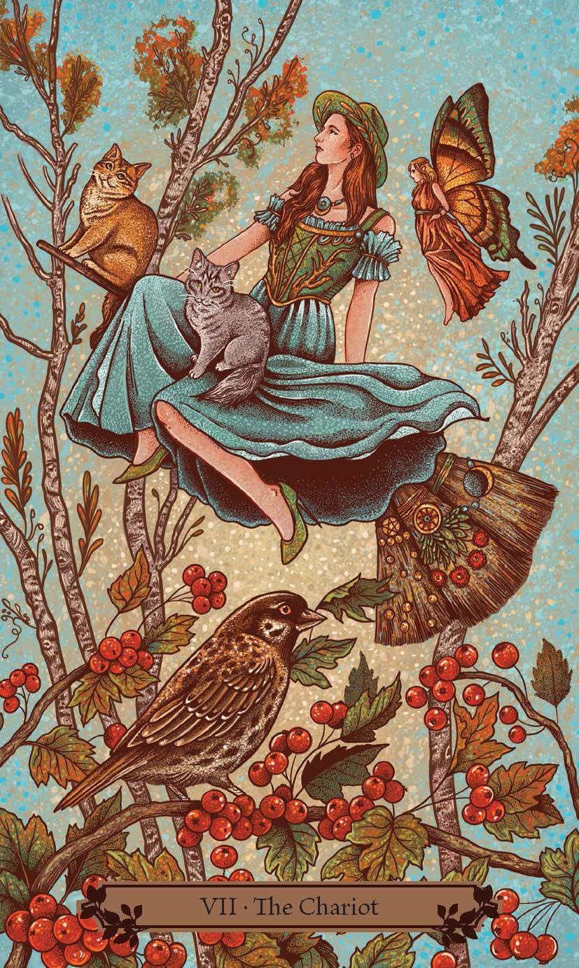 The Hedgewitch Tarot - taro kortos | Llewellyn