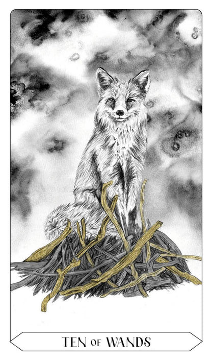Lumina Tarot: Let Your Intuition Guide You - Taro kortos | Rockpool