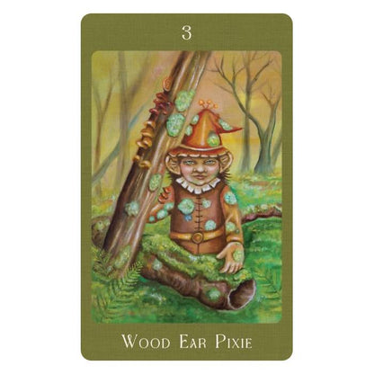 Mushroom Folk Oracle - orakulo kortos | Blue Angel