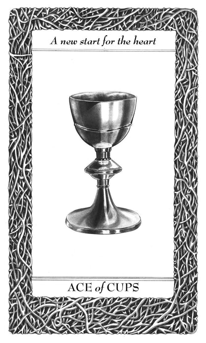 Lieselle's Eternal Tarot - taro kortos | Schiffer