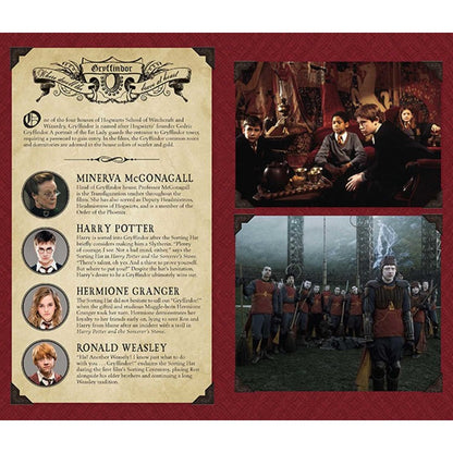 Harry Potter Gryffindor - užrašinė, kosmetiniai defektai