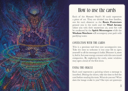 Shamanic Oracle - orakulo kortos | Rockpool