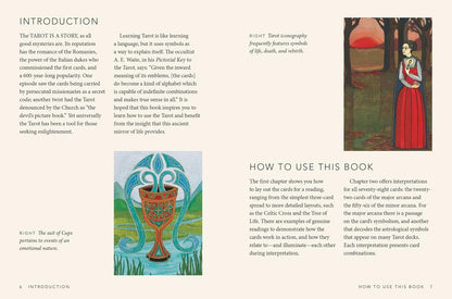 The Little Book of Tarot - Liz Dean knyga apie Taro | CICO Books