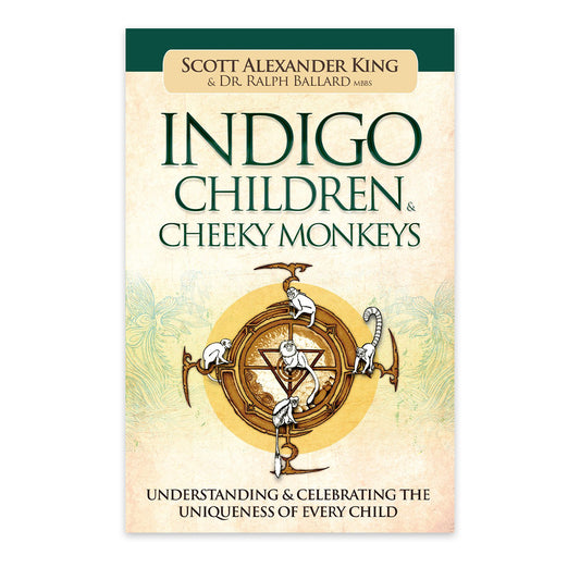 Indigo Children & Cheeky Monkeys: Understanding & Celebrating the Uniqueness of Every Child knyga Blue Angel