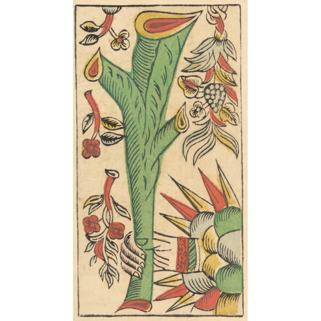 Tarot de Marseille Gassmann - riboto leidimo taro kortos | Lo Scarabeo