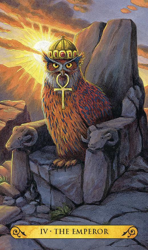 Tarot of the Owls Mini - mini taro kortos be vadovo | Llewellyn