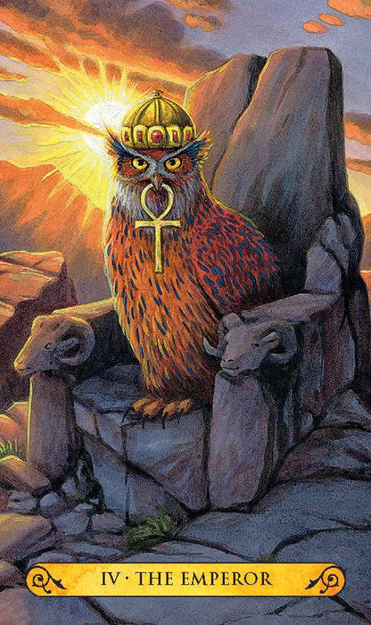 Tarot of the Owls Mini - mini taro kortos be vadovo | Llewellyn