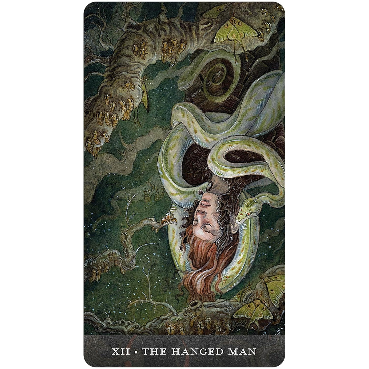 Blood Moon Tarot - Sam Guay Taro kortos | U.S. Games Systems