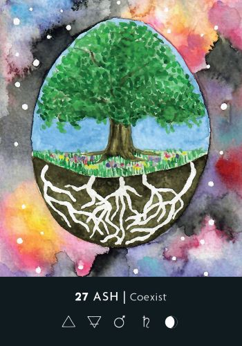 The Ritual Deck - orakulo kortos | Hay House