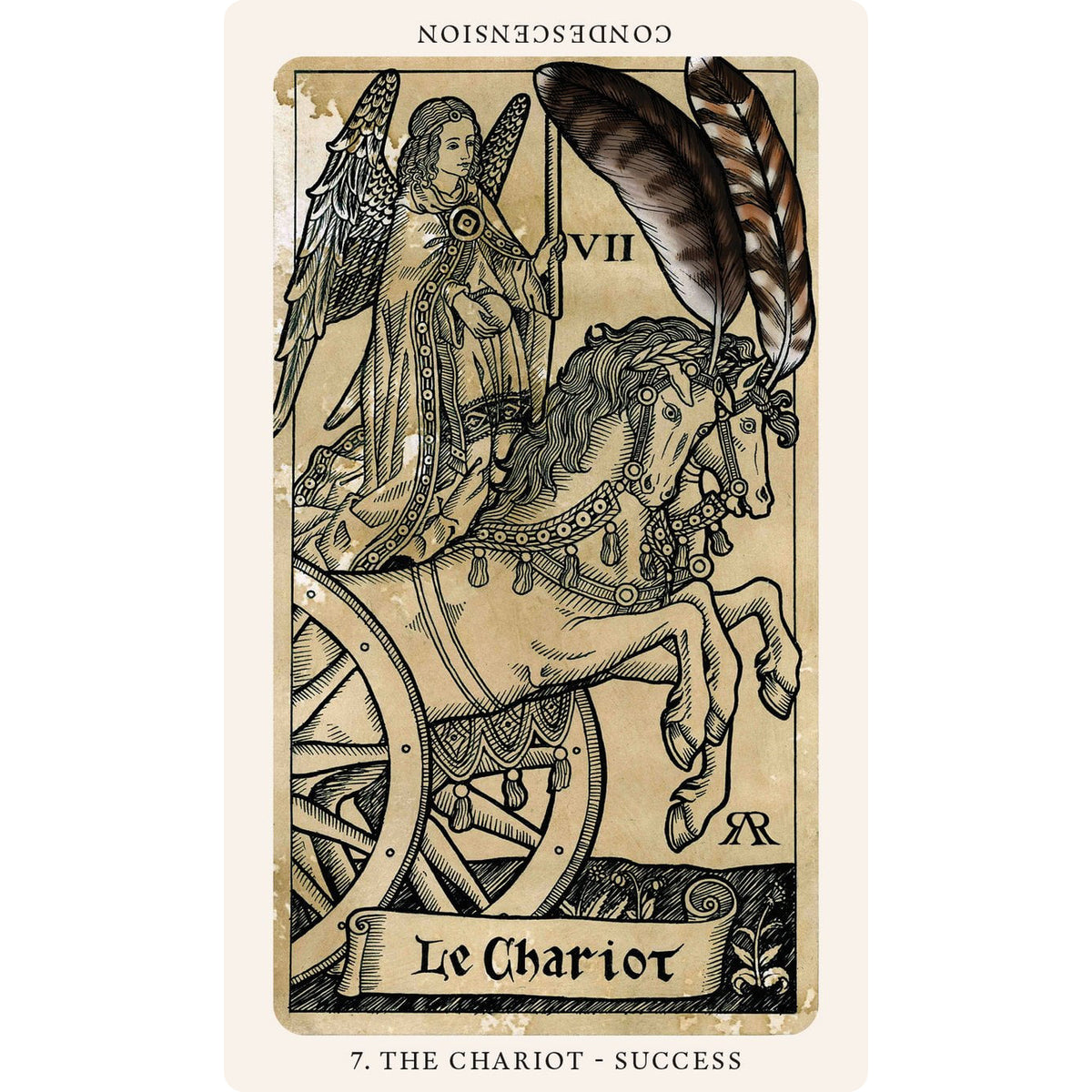 The Medieval Feathers Tarot - taro kortos | Blue Angel