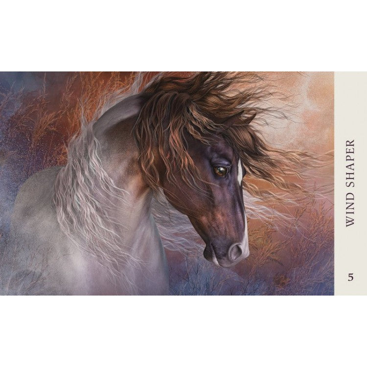 Horse Wisdom Oracle - orakulo kortos | Blue Angel - kosmetinis defektas