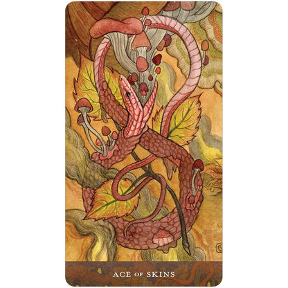 Blood Moon Tarot - Sam Guay Taro kortos | U.S. Games Systems