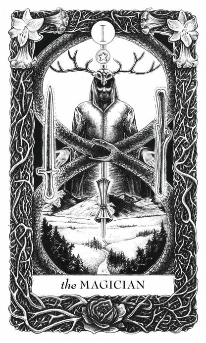 Lieselle's Eternal Tarot - taro kortos | Schiffer
