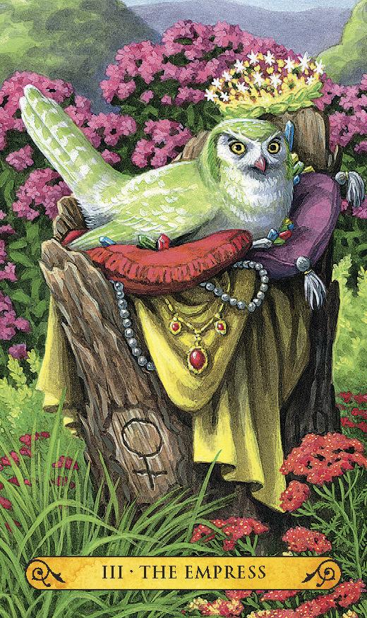 Tarot of the Owls Mini - mini taro kortos be vadovo | Llewellyn