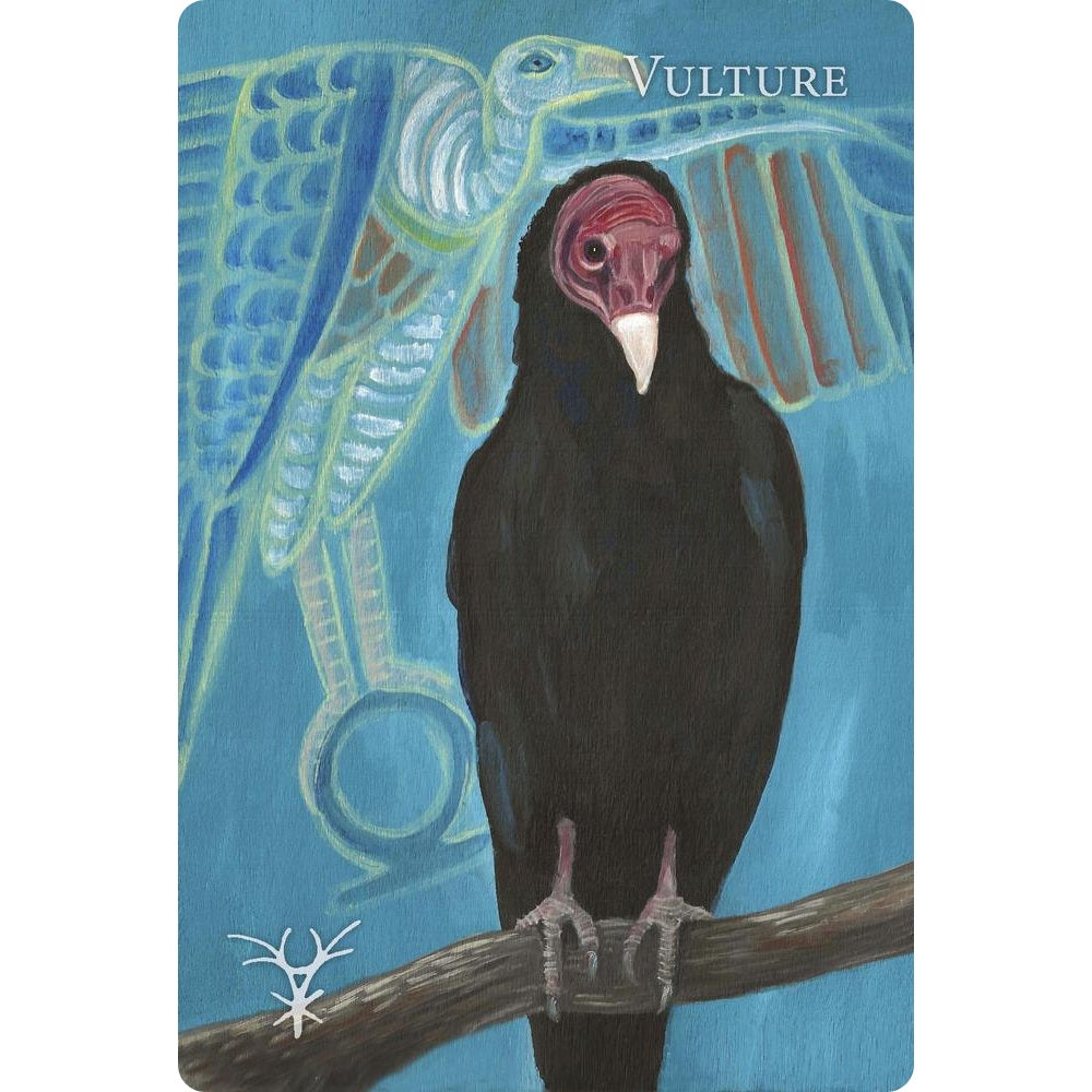 A Witch's Ally Oracle - orakulo kortos | Llewellyn