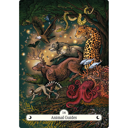 The Witch's Way Home Oracle - orakulo kortos | Hay House