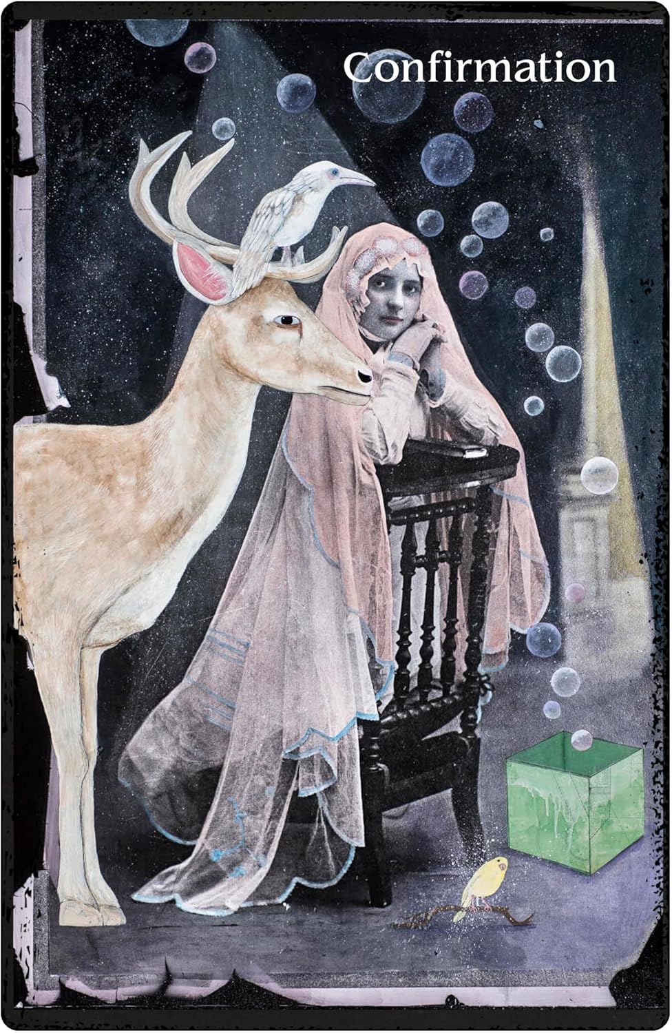 The Oracle of Rewilding - orakulo kortos | Weiser Books