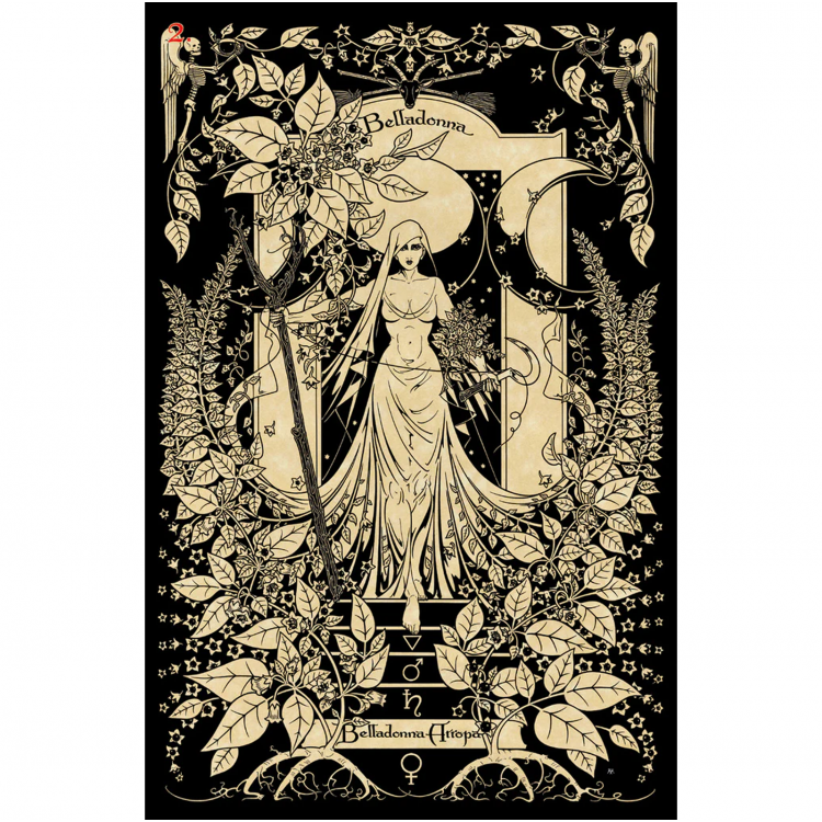 The Magickal Botanical Oracle - orakulo kortos | Lo Scarabeo - kosmetinis defektas