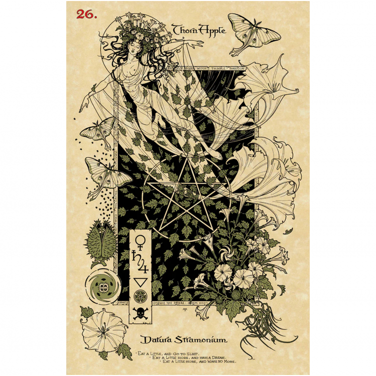 The Magickal Botanical Oracle - orakulo kortos | Lo Scarabeo - kosmetinis defektas