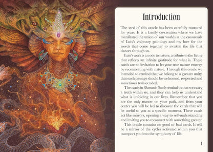 Shamanic Oracle - orakulo kortos | Rockpool