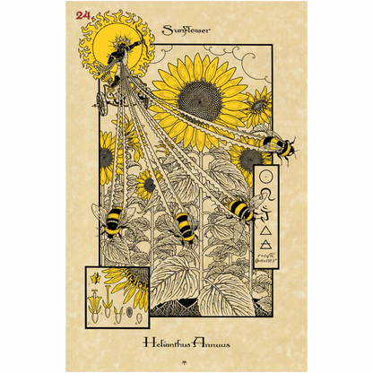 The Magickal Botanical Oracle - orakulo kortos | Lo Scarabeo - kosmetinis defektas