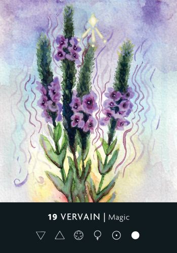 The Ritual Deck - orakulo kortos | Hay House