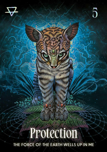 Shamanic Oracle - orakulo kortos | Rockpool