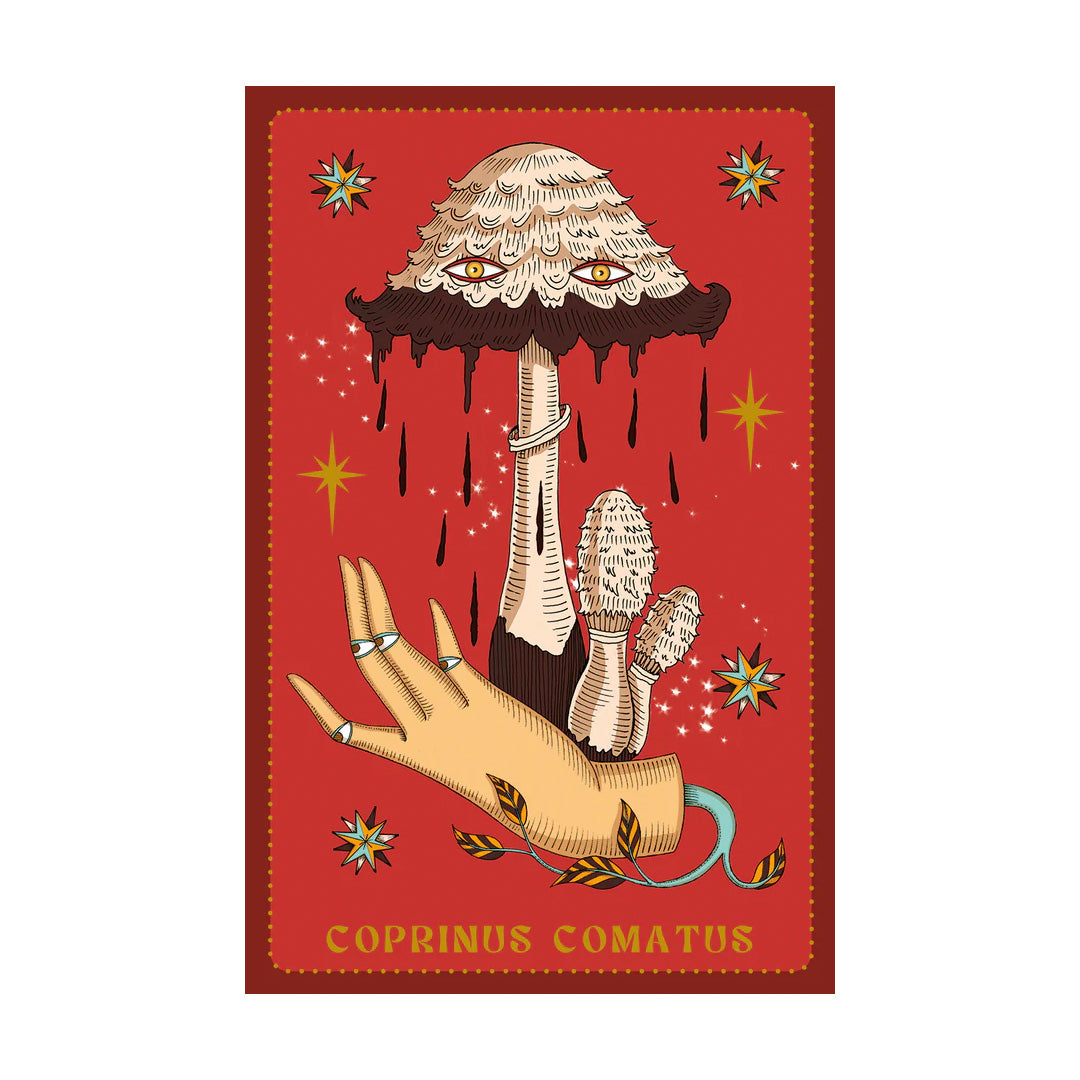 Herbarium Oracle - augalų orakulo kortos | Lo Scarabeo