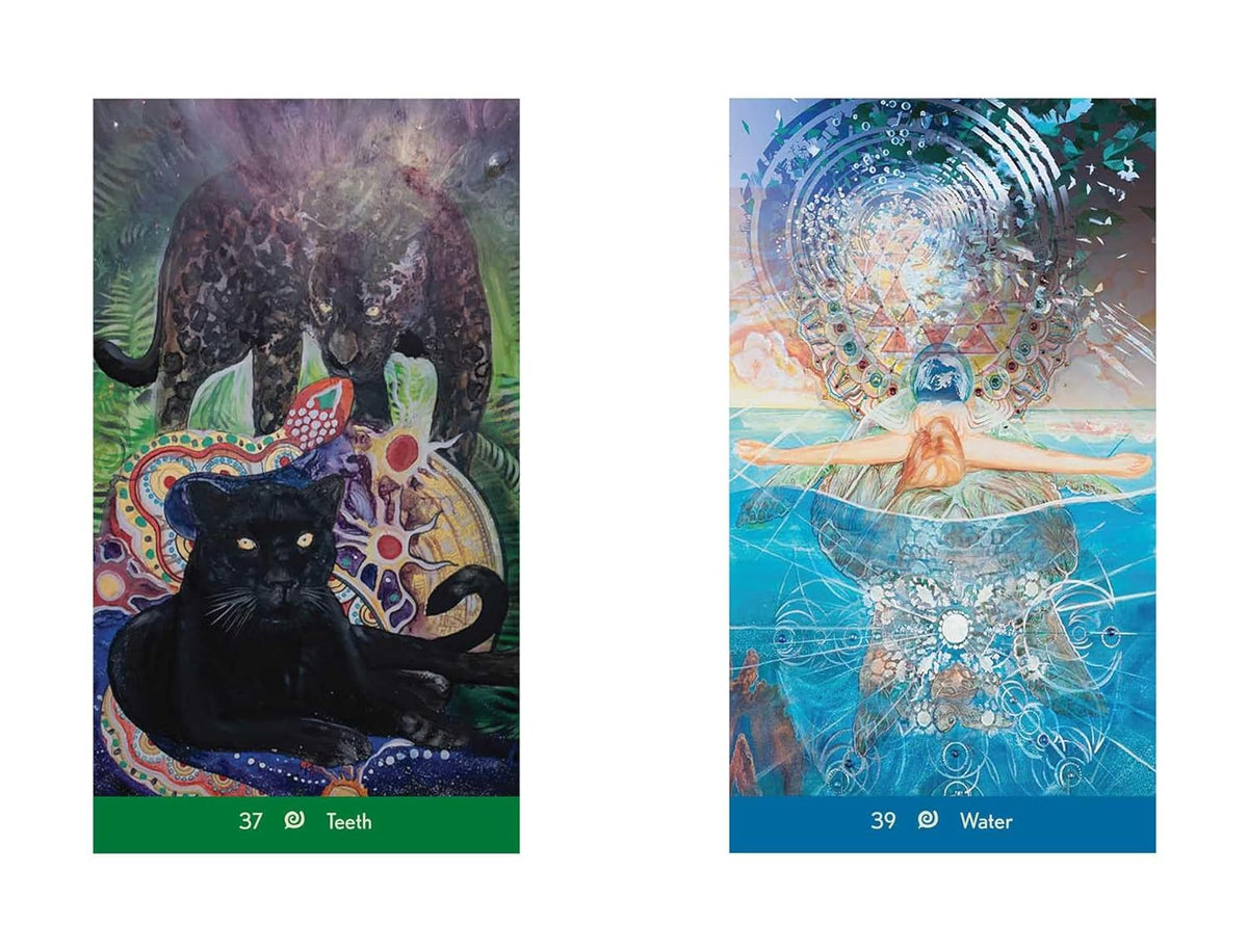 Dream Wisdom Oracle - sapnų orakulo kortos | Destiny Books