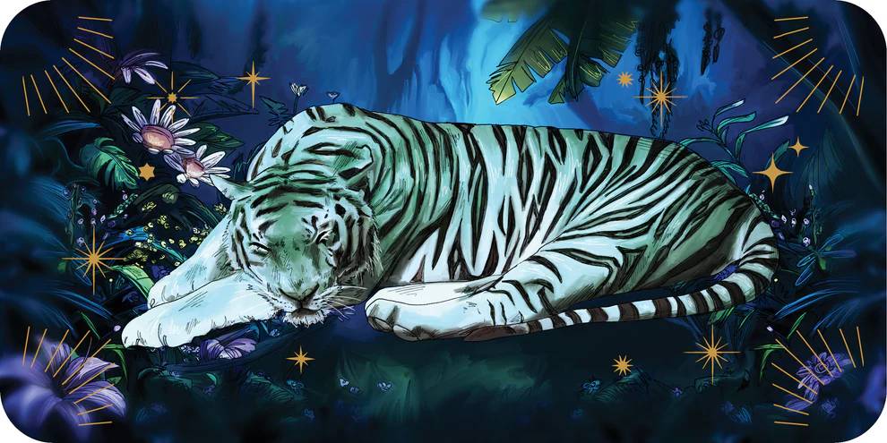 Sleeping Spirits kortos Rockpool Publishing