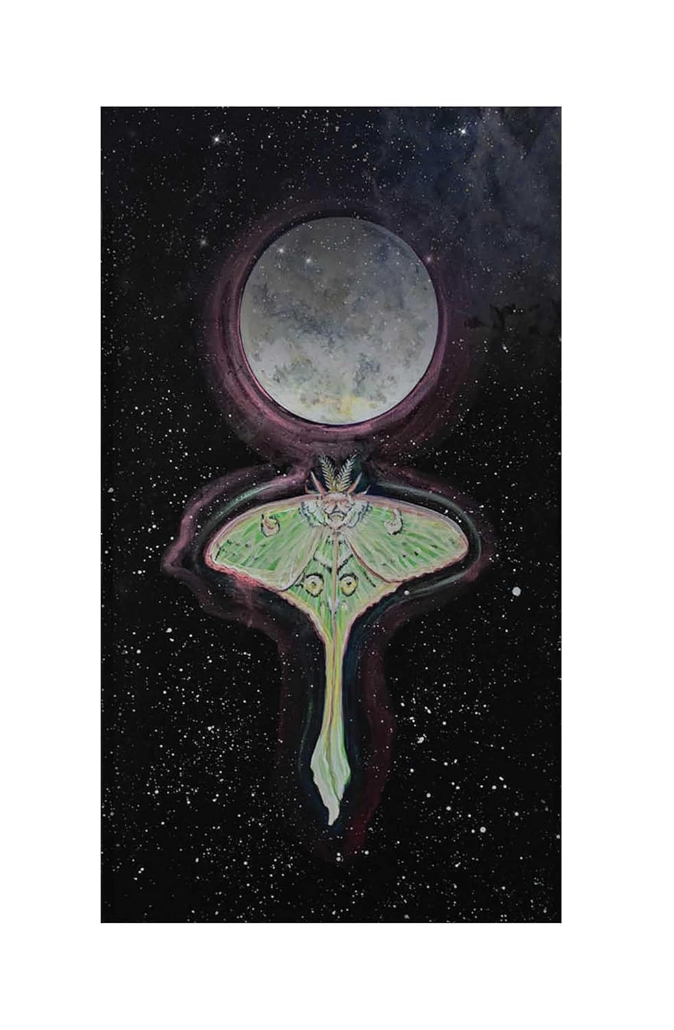 Dream Wisdom Oracle - sapnų orakulo kortos | Destiny Books