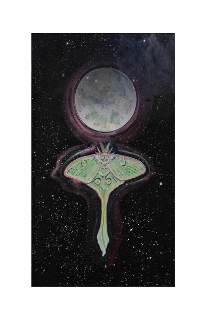 Dream Wisdom Oracle - sapnų orakulo kortos | Destiny Books