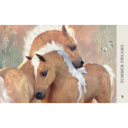 Horse Wisdom Oracle - orakulo kortos | Blue Angel - kosmetinis defektas