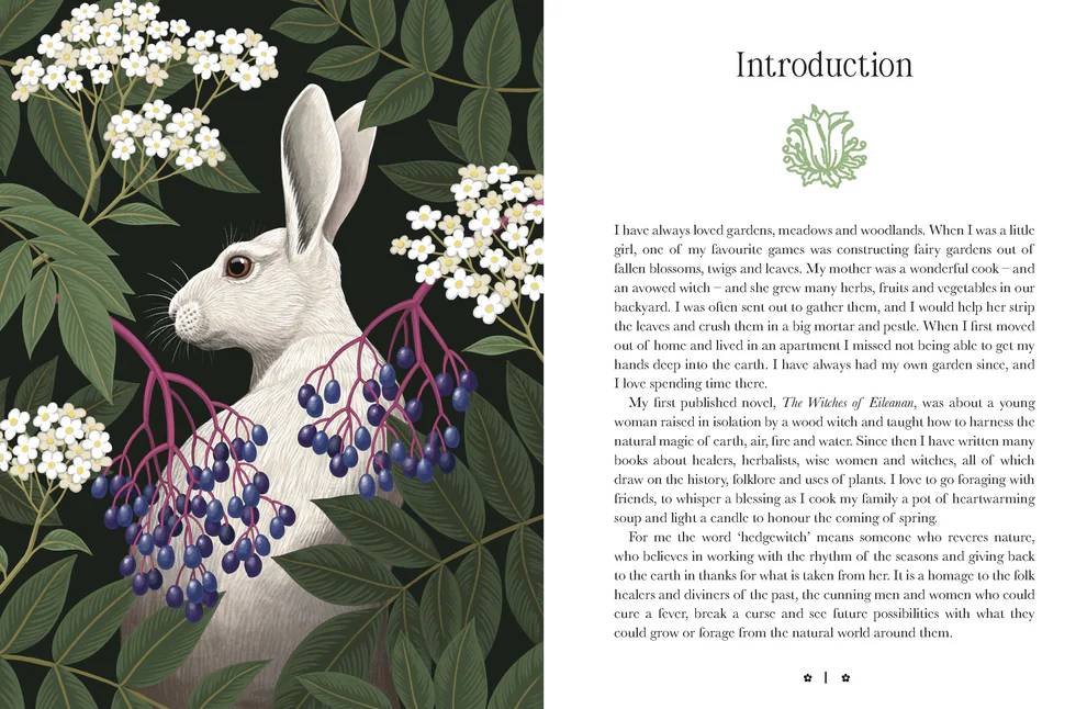 Kate Forsyth's Hedgewitch Oracle - augalų orakulo kortos | Rockpool