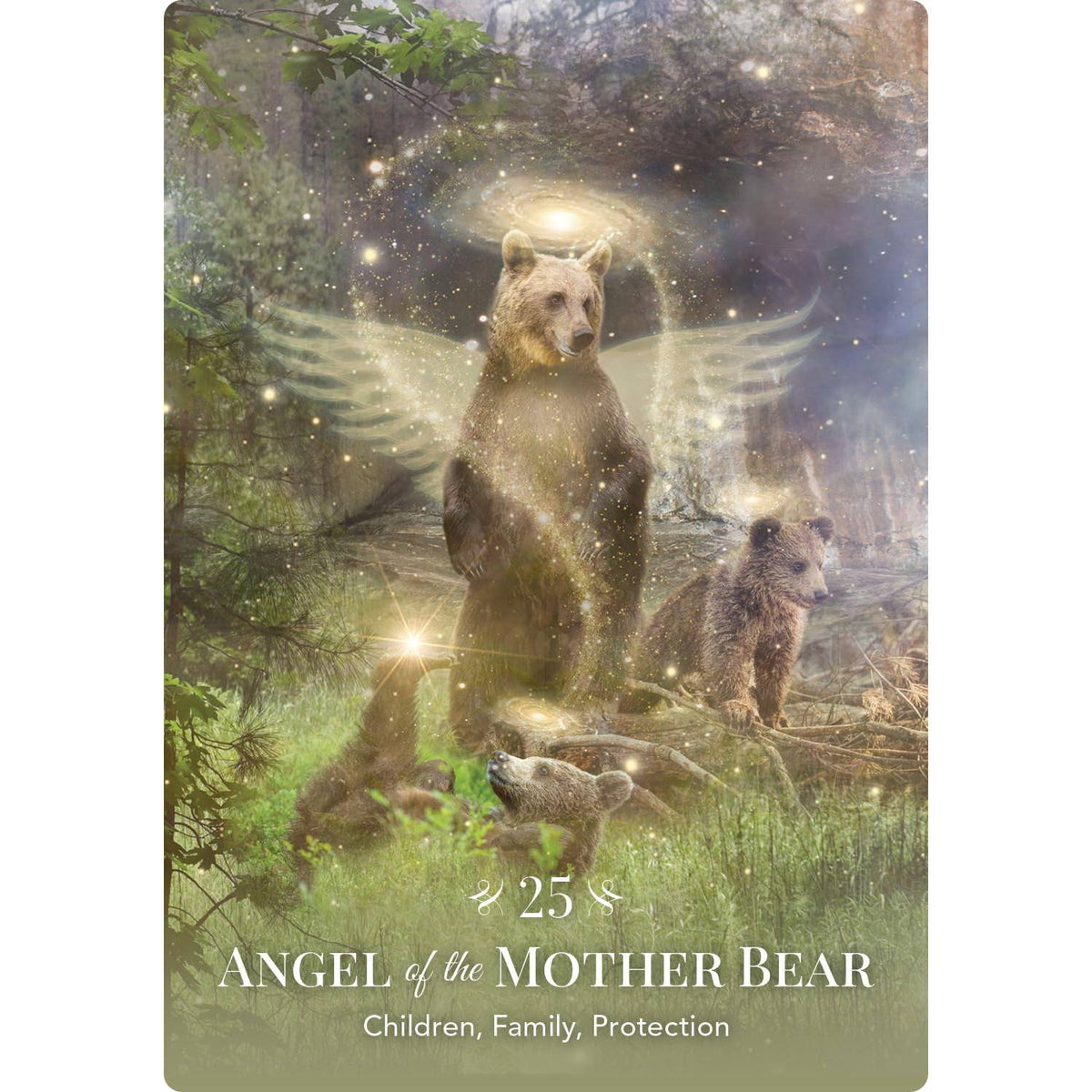 Angels of Nature Oracle - orakulo kortos | Hay House