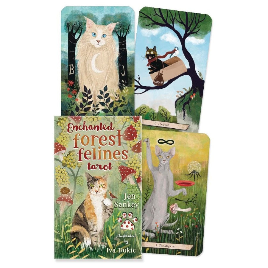 Enchanted Forest Felines Tarot - taro kortos | Llewellyn