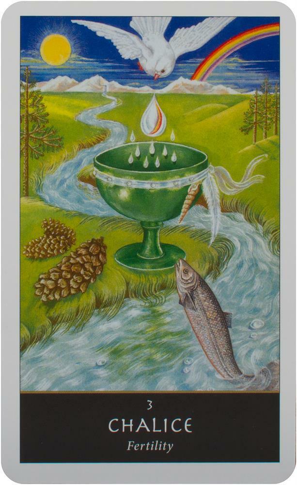 The Witches' Oracle - 42 kortos ir vadovas