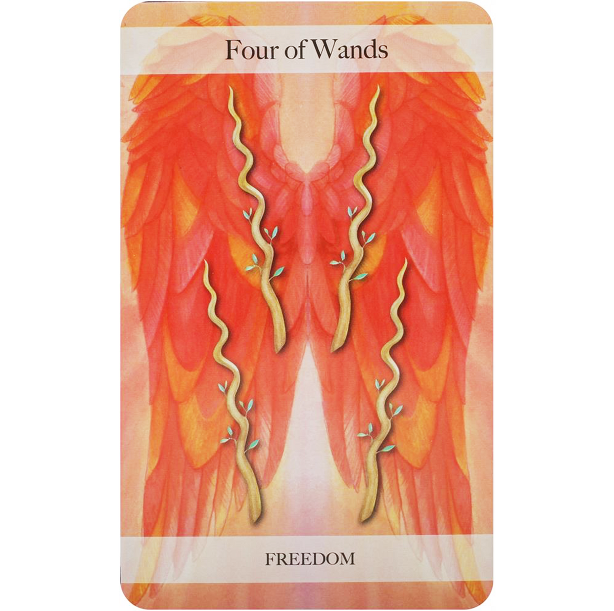 The Angel Tarot - angelų taro kortos | Cico Books